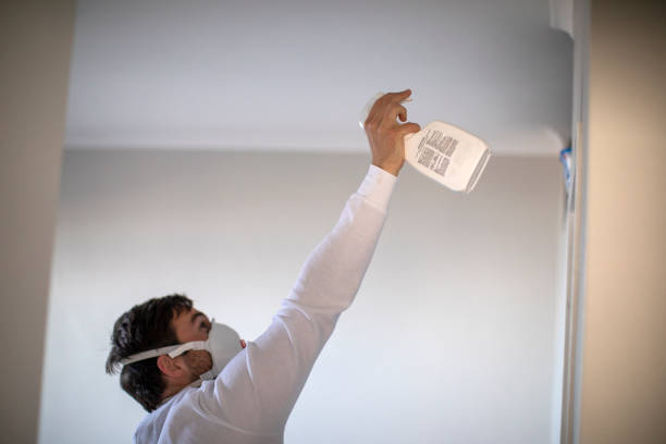 Best Same-Day Mold Removal  in Rancho Cumonga, CA
