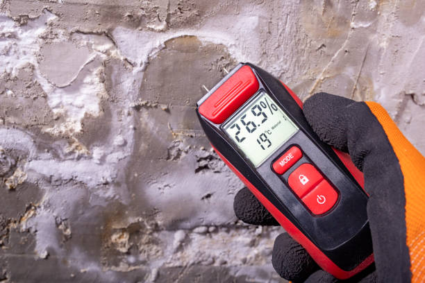 Best Mold Remediation  in Rancho Cumonga, CA