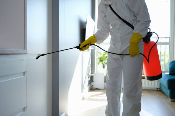 Best Home Mold Removal  in Rancho Cumonga, CA