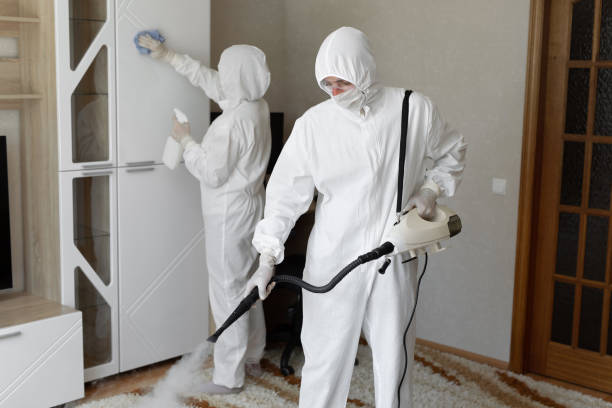 Trusted Rancho Cucamonga, CA Mold Removal Experts
