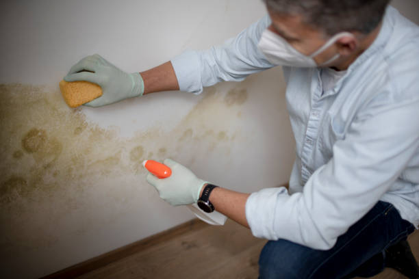 Best Mold Testing  in Rancho Cumonga, CA