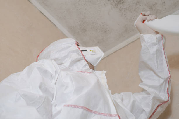 Best Mold Damage Repair  in Rancho Cumonga, CA