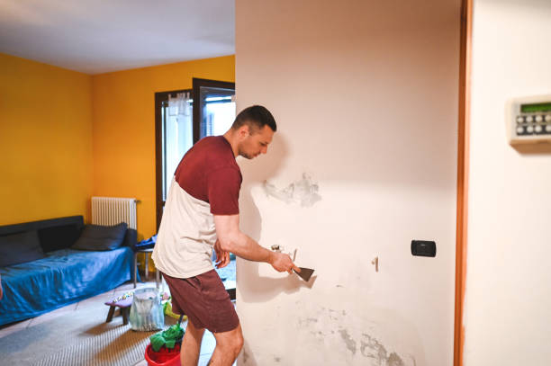Best Same-Day Mold Removal  in Rancho Cumonga, CA