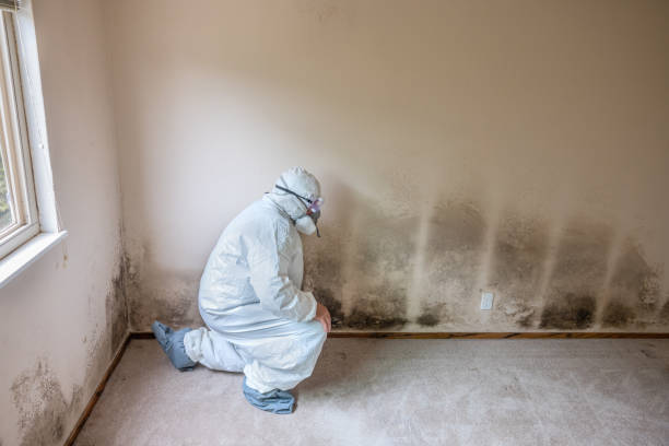 Best Mold Testing  in Rancho Cumonga, CA